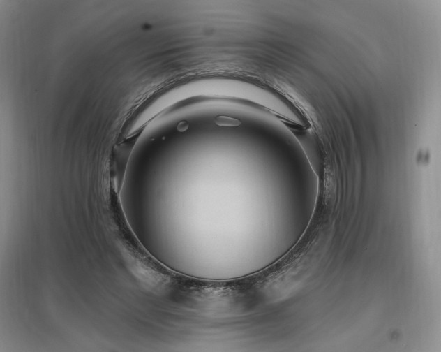X0000097510493200802221510