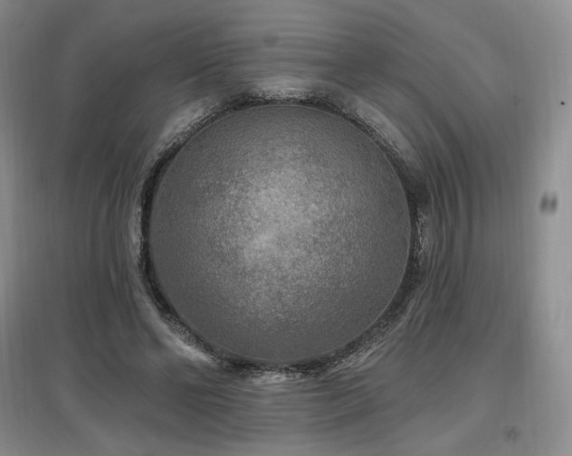X0000097510494200802221510