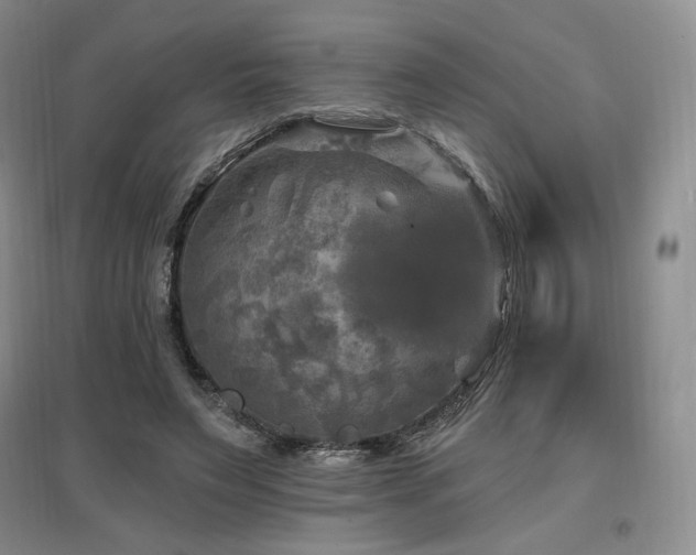 X0000097510495200802221510