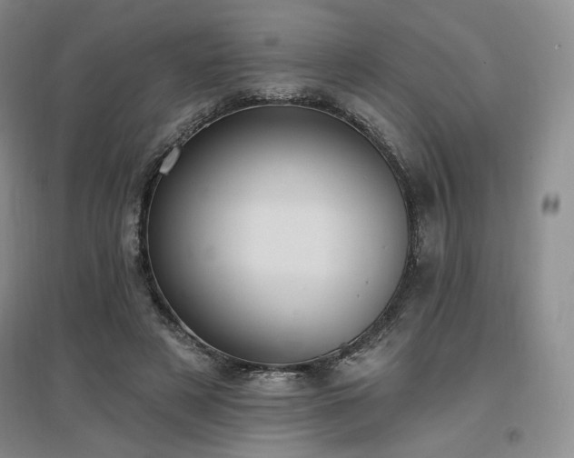 X0000097510497200802221510