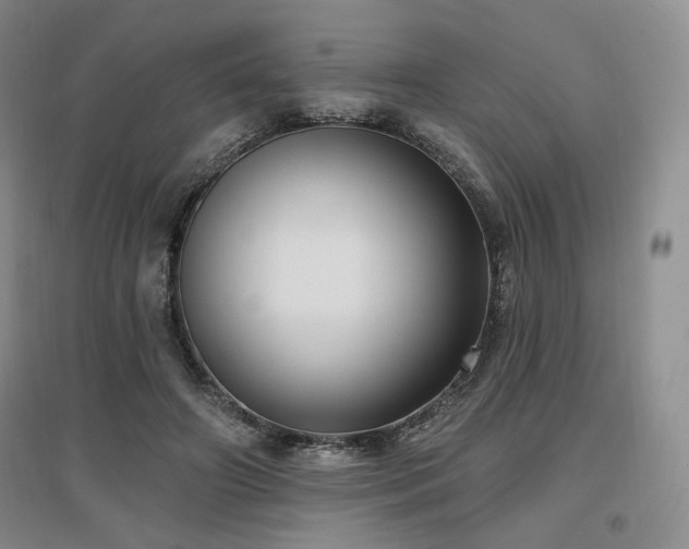 X0000097510498200802221510