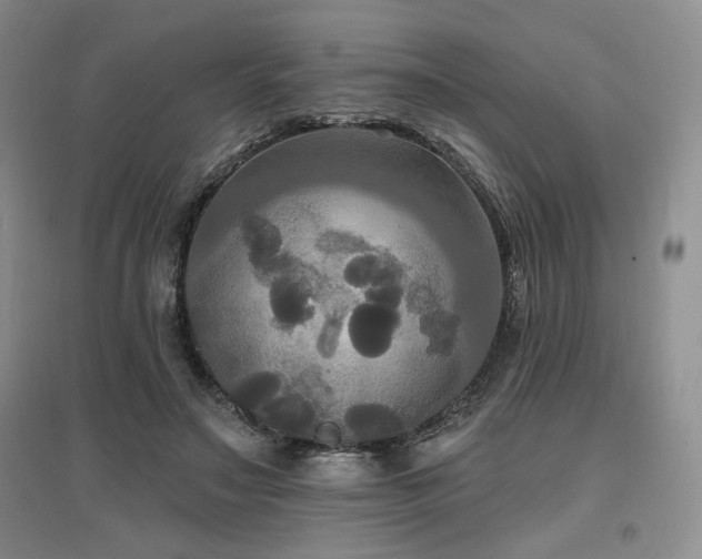 X0000097510499200802221510
