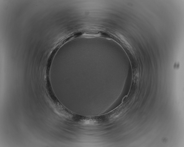 X0000097510500200802221510