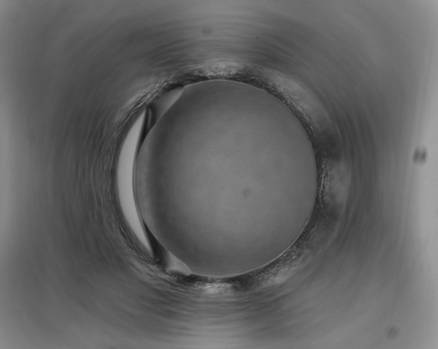 X0000097510501200802221510