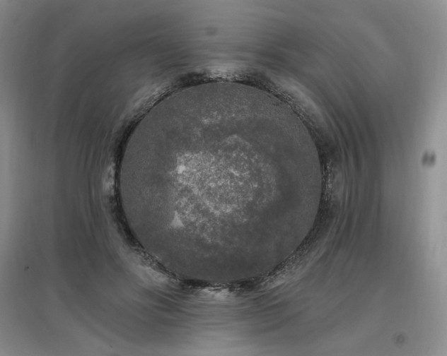 X0000097510502200802221510