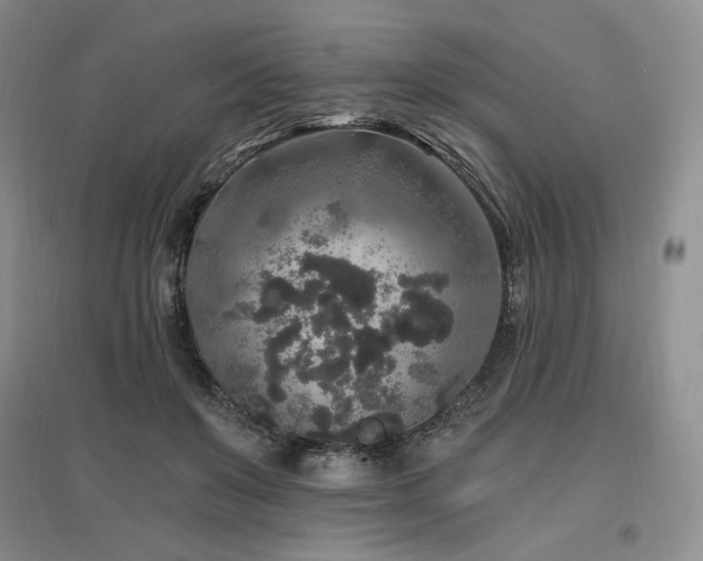 X0000097510503200802221510