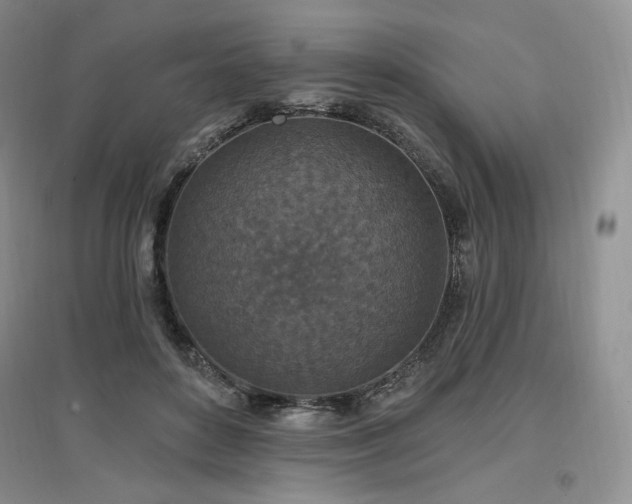X0000097510504200802221510