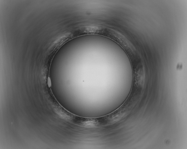 X0000097510505200802221510