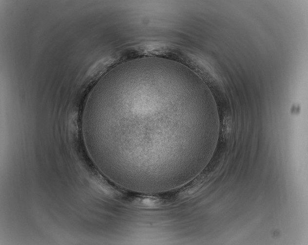 X0000097510506200802221510