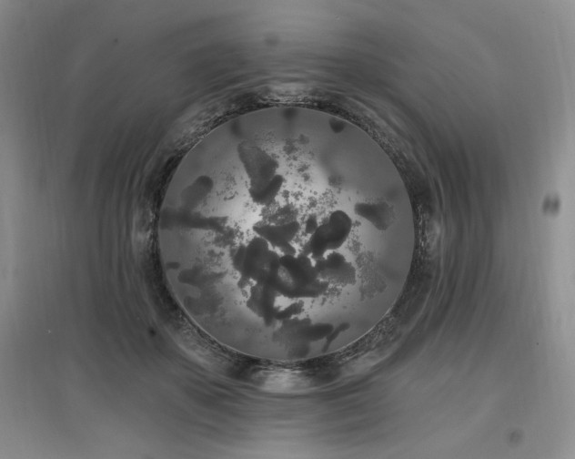 X0000097510507200802221510