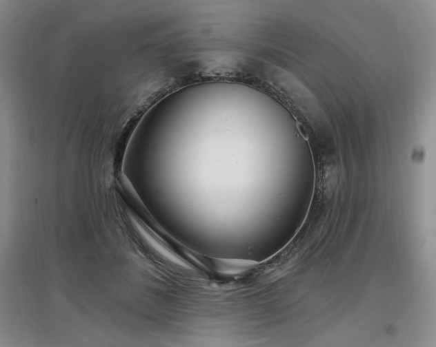 X0000097510508200802221510