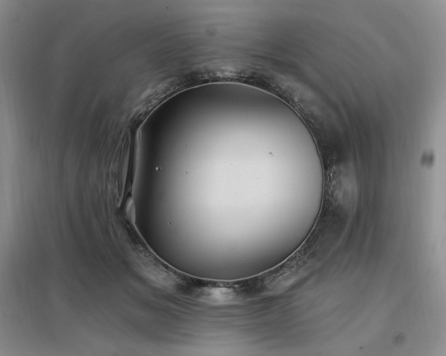 X0000097510509200802221510
