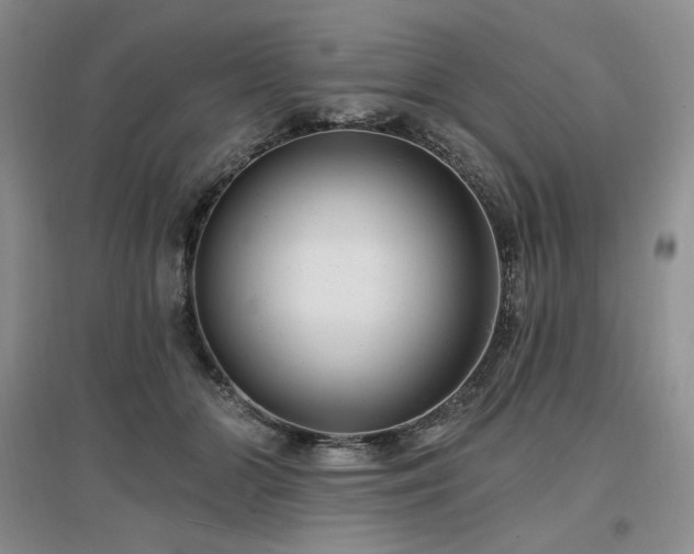 X0000097510510200802221510