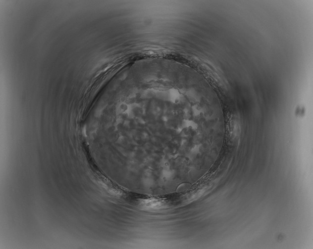 X0000097510511200802221510