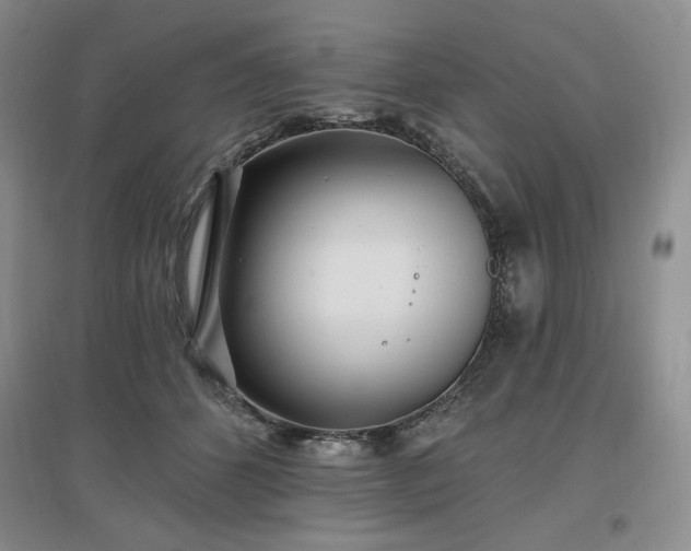 X0000097510512200802221510