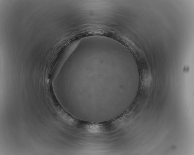 X0000097510513200802221510