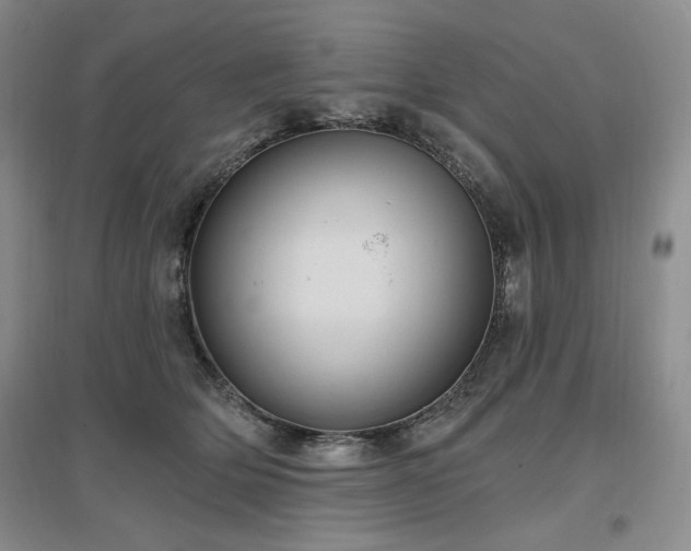 X0000097510514200802221510
