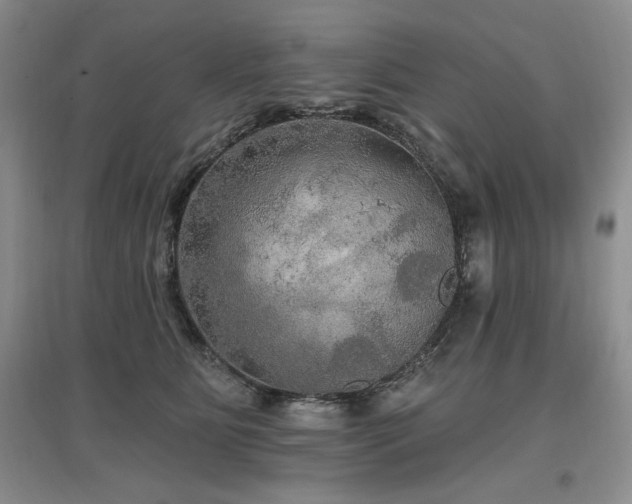X0000097510515200802221510