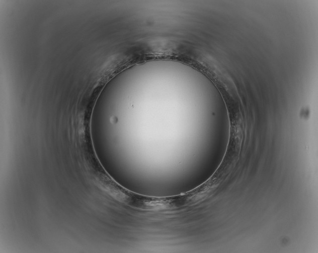 X0000097510516200802221510