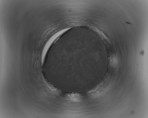 X0000097510517200802221510
