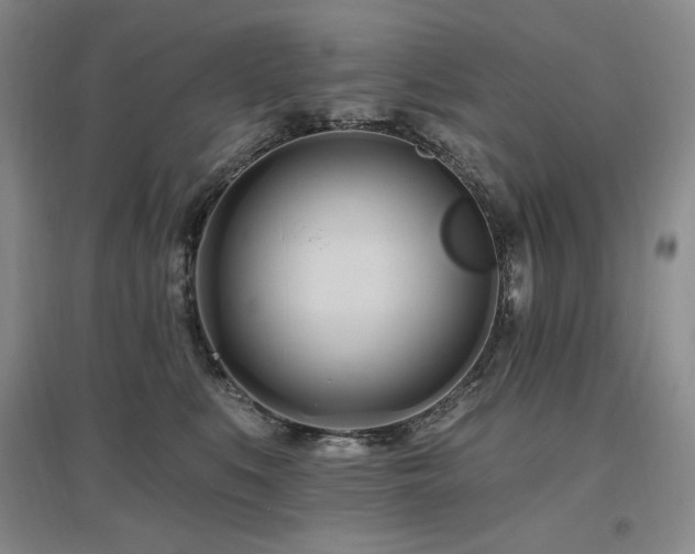 X0000097510519200802221510