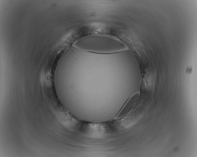 X0000097510520200802221510