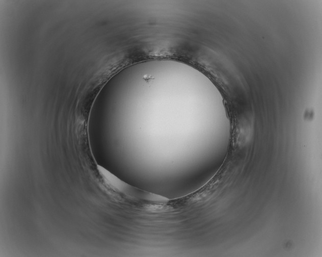 X0000097510521200802221510