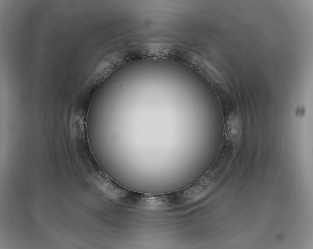 X0000097510522200802221510