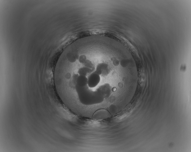 X0000097510523200802221510