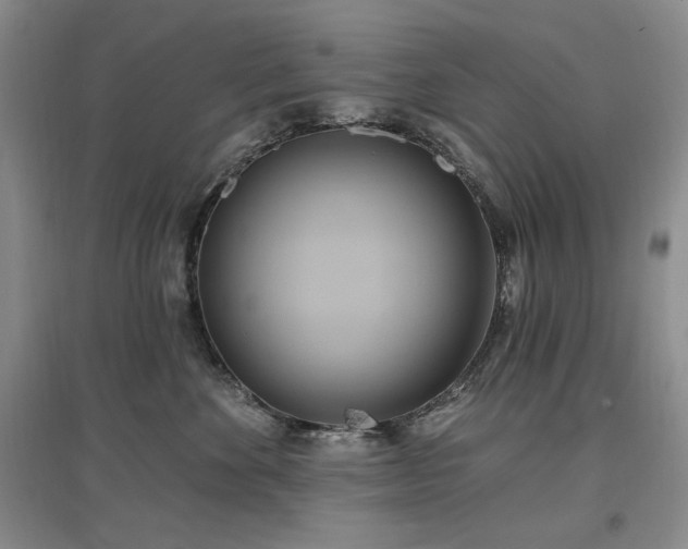 X0000097510524200802221510