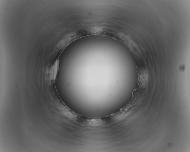 X0000097510525200802221510