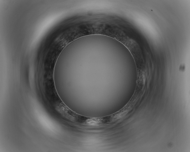 X0000097510526200802221510