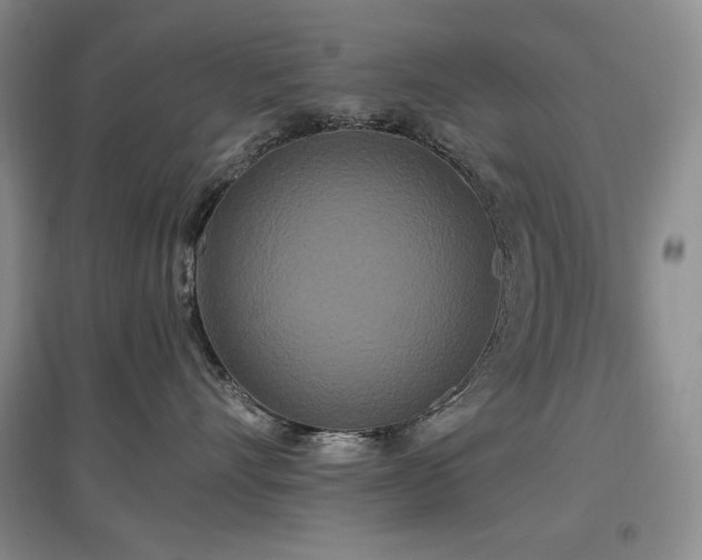 X0000097510528200802221510