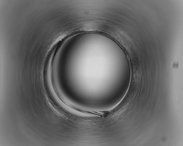 X0000097510530200802221509