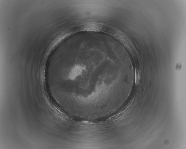 X0000097510531200802221509