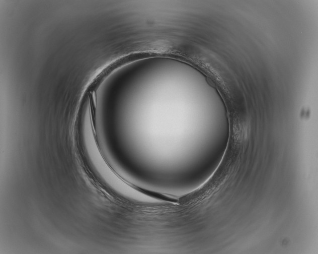 X0000097510532200802221509