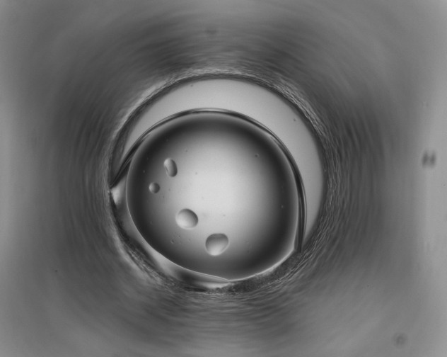X0000097510534200802221509