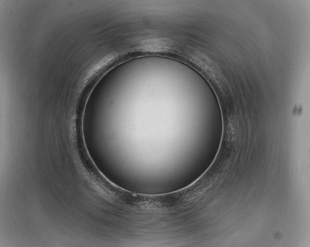 X0000097510535200802221509