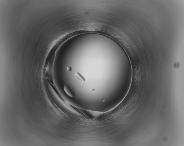 X0000097510536200802221509