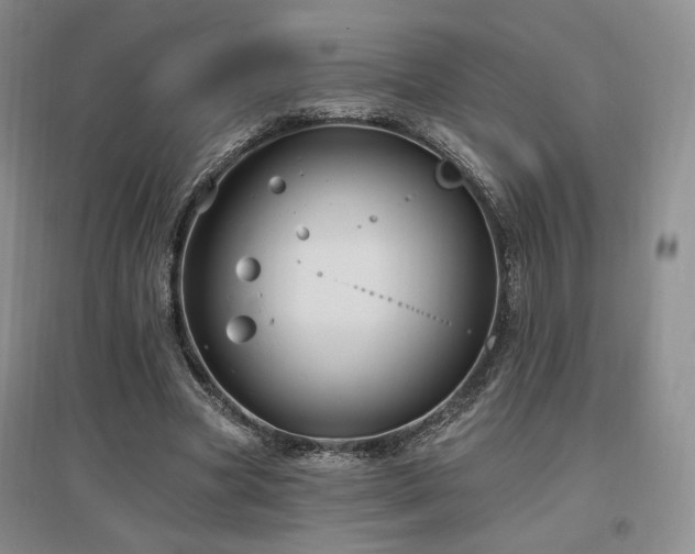 X0000097510537200802221509