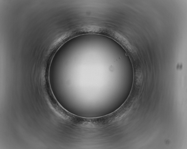 X0000097510538200802221509