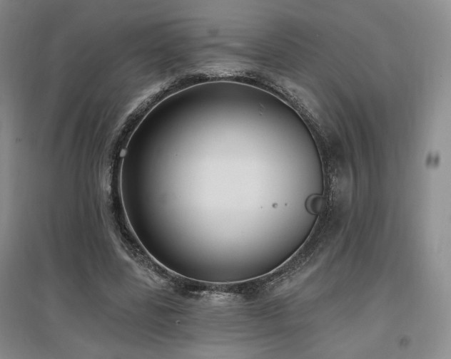 X0000097510539200802221509