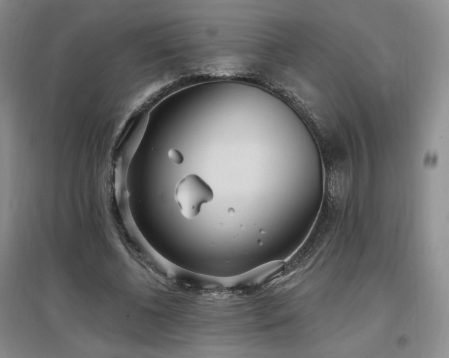 X0000097510540200802221509