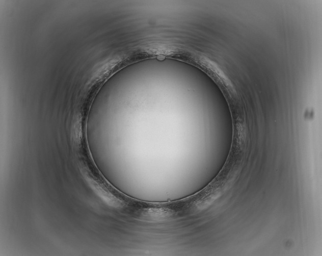 X0000097510541200802221509