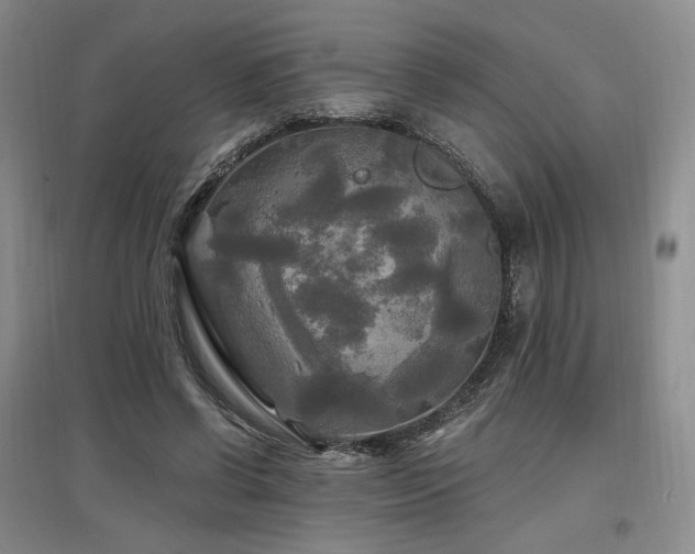 X0000097510542200802221509