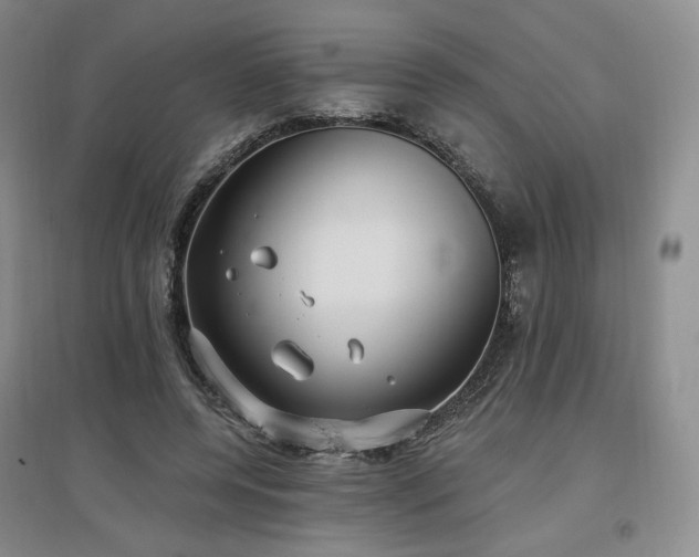 X0000097510544200802221509