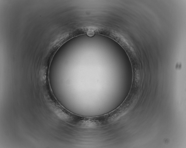 X0000097510545200802221509