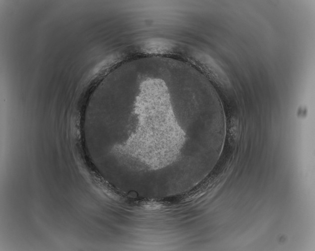 X0000097510547200802221509
