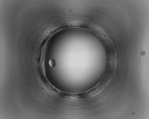X0000097510548200802221509