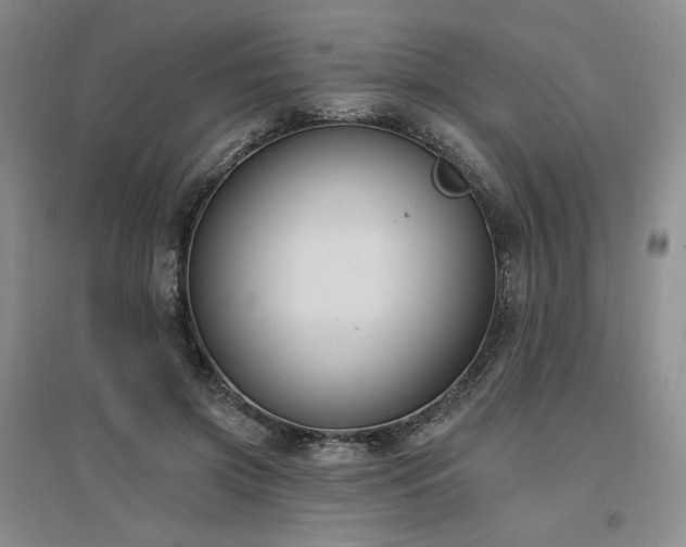 X0000097510549200802221509